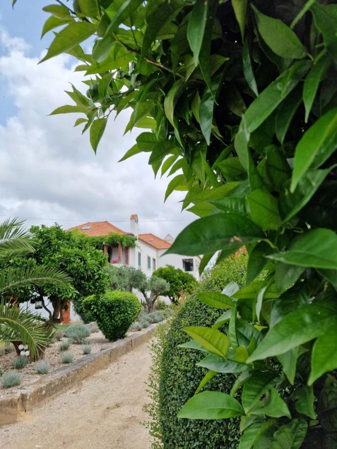 Casa Nikana Turcifal Exteriér fotografie