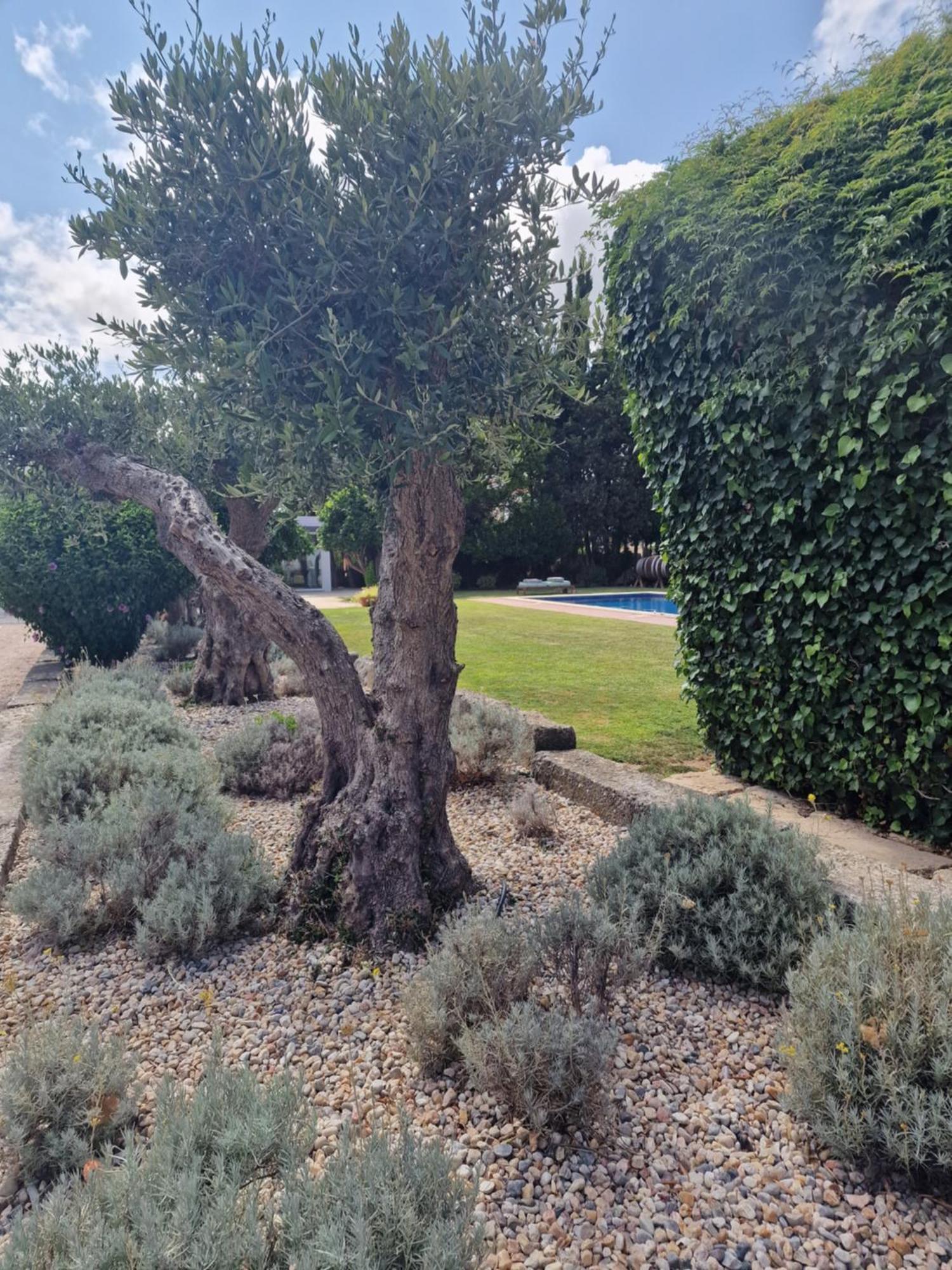 Casa Nikana Turcifal Exteriér fotografie